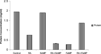 Figure 7 Effect of RA (50,000 IU), SnMP (50 µmol/kgbwt), and FeMP (250 µmol/kgbwt) on total mitochondrial protein concentration.