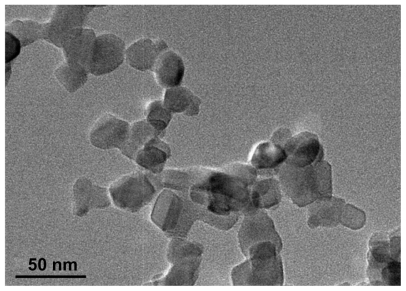 Figure 1 Transmission electron microscope image of magnetic titanium oxide nanoparticles.