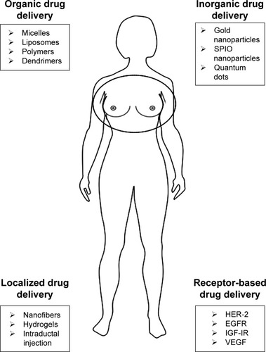 Figure 1 Drug delivery systems for breast cancer.Abbreviations: SPIO, superparamagnetic iron oxide; HER-2, human epidermal growth factor receptor 2; EGFR, epidermal growth factor receptor; IGF-IR, insulin-like growth factor I receptor; VEGFR, vascular endothelial growth factor receptor.