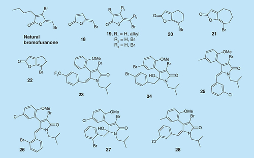 Figure 9.  Brominated furanone analogs.