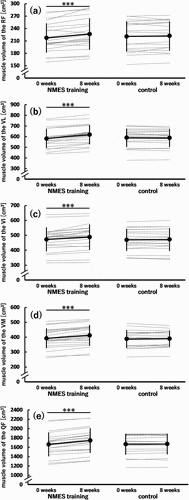 Figure 7. Muscle volume of the rectus femoris (RF) (a); vastus lateralis (VL) (b), intermedius (VI) (c), and medialis (VM) (d); and quadriceps femoris (QF) (e) before (0 weeks) and after (8 weeks) the 8-week intervention in the neuromuscular electrical stimulation (NMES) training (n = 21) and control (n = 18) groups.