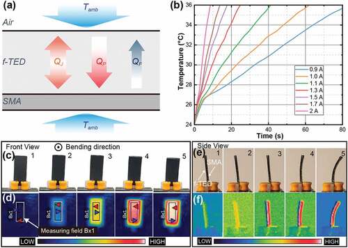 Figure 3. a) Heat transfer sketch of the f-TES composite in the heating mode. b) The rise in SMA temperature at different currents. c-f) Pictures and thermal images of the heating Bend of the f-TES composite (from a front- and side-view).