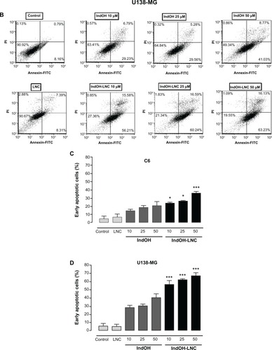 Figure 2 IndOH and IndOH-LNC induce apoptosis in glioma cells. Flow cytometry experiments to quantify apoptotic and/or necrotic cells in (A) C6 and (B) U138-MG glioma cells treated with IndOH or IndOH-LNC (10, 25, or 50 μM) for 24 hours. Unloaded LNC were considered the vehicle control of IndOH-LNC. Values are expressed as the percentage of early apoptotic cells (%) (annexin V positive/PI negative) in (C) C6 and (D) U138-MG glioma cells treated with IndOH or IndOH-LNC.Notes: Bars represent the mean ± standard deviation for three independent experiments. significant differences from control and LNC groups and between the respective concentrations of IndOH group: *P < 0.05, and ***P < 0.001, as assessed by two-way analysis of variance followed by the Bonferroni post hoc test.Abbreviations: FITC, fluorescein isothiocyanate; IndOH, indomethacin; IndOH-LNC, indomethacin-loaded lipid-core nanocapsules; LNC, lipid-core nanocapsules; PI, propidium iodide.