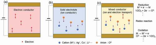 Figure 1. Electrical conductors with various conduction species. (a): Electronic conductor transporting electrons. (b): Ionic conductors (solid electrolytes) transporting ions. (c): Mixed conductors transporting electrons and ions. In (b) and (c) conductors, electrochemical reactions of oxidation and reduction occur at the interfaces with electrodes.