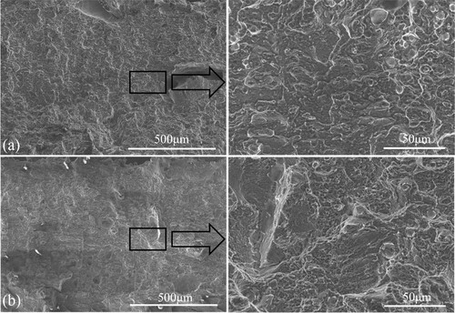 Figure 13. SEM images of fracture surface of the QZS structures fabricated with at scanning speeds: (a) 600 mm/s; (b) 1000 mm/s.