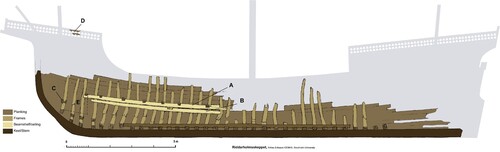 Figure 18. Lengthwise cut-through section of the Riddarholmen Ship. A: shelf clamp, B: ceiling plank with notch for cross beam, C: foremast step, D: fragments of railing, E: space defined by collapsed bulkhead in which ammunition and spare rigging details were discovered. (Niklas Eriksson).