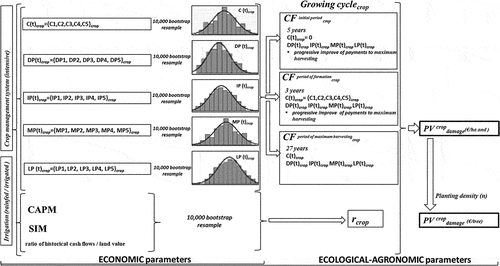 Figure 2. Process to calculate the PV of damage to an Orange grove.