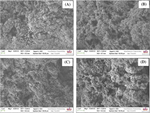 Figure 2. Electron microscopic images of protein isolate gels/aggregates prepared by using different conditions (magnification: 10,000 × EHT: 10 kV). (a) Acid-made protein isolate without NaCl; (b) Acid-made protein isolate with NaCl; (c) Alkaline-made protein isolate without NaCl; (d) Alkaline-made protein isolate with NaCl.