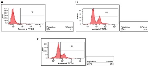 Figure 10 Effects of DNR-Sol and DNR-MNPs on apoptosis of K562 cells after treatment for 48 hours. A) control, B) DNR-Sol, and C) DNR-MNPs.Abbreviations: DNR-Sol, daunorubicin in solution; DNR-MNPs, daunorubicin-loaded magnetic nanoparticles; MNPs, magnetic nanoparticles.