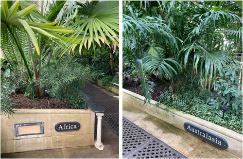 Figure 1 and 2. The Royal Botanic Gardens of Kew’s Palm House from 1848, with labels showing the origin of the plants within. Source: Photos taken by the author during fieldwork in London in May 2022.