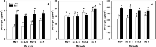 Figure 1. The dry weight at (A) seedling, (B) stem elongation and (C) harvest stages of oilseed rape (Brassica napus L.) grown in pot soils treated with different Mo levels. Bars indicate standard error (n = 3). Different letters indicate significant differences at P < 0.05.