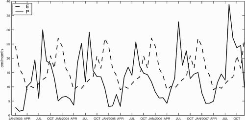 Fig. 8 Spatially averaged monthly mean precipitation and evaporation during the period 2003–07 in the study area (16°N–25°N, 122°E–130°E). The solid line denotes precipitation; the dashed line denotes evaporation. Both are in units of cm mo−1.