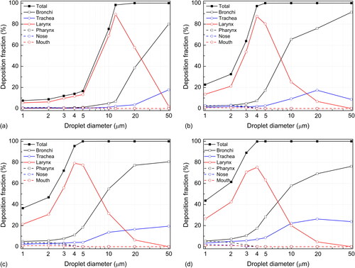 Figure 6. Local deposition of droplets released from bronchi with different breathing conditions. (a) 10 L/min, (b) 30 L/min, (c) 60 L/min, and (d) 90 L/min.