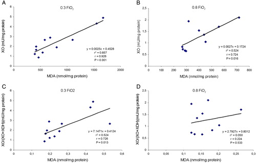 Figure 4. Effects of FiO2 on the correlations between MDA levels and XO activity and XO/(XO + XDH) ratio in colonic mucosa from removed piece of colon in the two groups of patients. MDA, malondialdehyde; XO, xanthine oxidase; XDH, xanthine dehydrogenase. r, Pearson's correlation coefficient. XO enzymatic activity and XO/(XO + XDH) ratio as independent variables and MDA as a dependent variable. P values <0.05 were considered statistically significant. (A) correlation between MDA levels and XO activity was very significant in 0.30 FiO2 group. (B) correlation between MDA levels and XO activity was significant in 0.80 FiO2 group and the r value was lower than 0.30 FiO2 group. (C) correlation between MDA levels and XO/(XO + XDH) ratio on 0.30 FiO2 group was statistically significant. (D) correlation between MDA levels and XO/(XO + XDH) ratio in 0.80 FiO2 group was not statistically significant and the r value was lower than 0.30 FiO2 group.