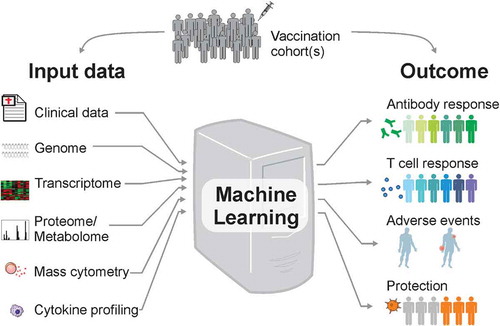 Figure 1. Using machine learning methods to predict vaccine-induced immunity and reactogenicity.