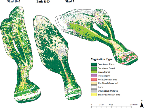 Figure 5. Modeled labeled vegetation (level 2 classes; see Table 2) mapping results for Shed 10–7, Path 1163, and Shed 7 using a combination of spectral and lidar data. The avalanche paths are outlined with a 50-m buffer (black polygons) for context of surrounding vegetation. Note that these three paths are not all adjacent to each other (Figure 1).