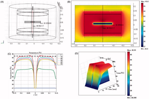 Figure 3. Biliary duct stent placed in horizontal direction. Lumen: vessel. (A) Cross-sectional view of the model at x = 0 cm. (B) Temperature distribution after heating for 20 min. (C) Temperature profiles on the red line shown in Figure 3A. The broken line is the control, which indicates the temperature profile after heating for 20 min shown in Figure 2C. (D) Extrusion plot of temperature distribution on the red line shown in Figure 3A. Maximum SAR 328 W/kg; maximum temperature 45.6 °C.