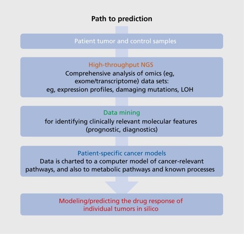 Figure 1. Path to prediction. Tumor biopsies and control (usually blood) samples are taken from individual patients for deep molecular analysis. Complex omics data are generated (eg, genome/exome, transcriptome, possibly proteome) and analyzed comprehensively for tumor-specific alterations, eg, mutations and gene fusions, loss of heterozygosity, ploidy, and 3D protein modeling of protein mutations, etc. Data generated are mined for clinically relevant features, such as diagnostic or prognostic markers. The patient-specific data are mapped to cancer-relevant pathways within a large-scale mechanistic computational model of cell signaling transduction and associated processes (eg, ModCellTM60-63). Individualized models are used to predict in silico the response of individual tumors to drug(s), singly or in combination, to identify the optimal therapeutic strategy for a specific patient. LOH, loss of heterozygosity; NGS, next-generation sequencing.