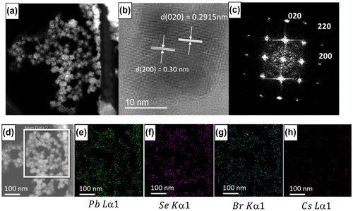 Figure 6. ((a), (d)) TEM images of CsPbBr3/PbSe nanocomposite, (b) high-resolution TEM (HRTEM) image, (c) selected area electron diffraction (SAED) pattern, and EDS atomic mapping of (e) Pb, (f) Se, (g) Br, and (h) Cs. The HRTEM and SAED patterns show the (0 2 0) plane of CsPbBr3 and the (2 0 0) plane of PbSe with plane distances of approximately 0.3 nm.