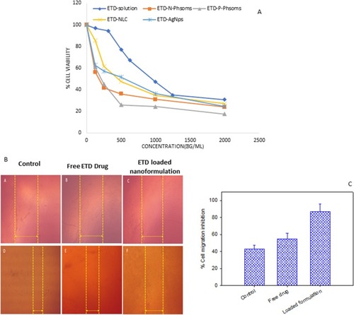 Figure 4 (A) Percent viability of SCC-9 skin cancer cell measured by MTT cytotoxicity assay after exposure to ascending concentrations of free ETD solution, ETD-loaded N-Phsoms, P-Phsoms, NLCs, and AlgNPs for 24 hrs, data were shown as mean ± SD (n=3), P<0.05. (B) Images acquired during a wound-healing experiment, (parts A&D) are for control untreated SCC, (parts B&E) are for SCC treated with Free ETD drug, (parts C&F) for SCC treated with ETD-loaded N-Phsoms formulation at the time t=0 and T=24 hrs. (C) Bar chart of % cell migration inhibition of control untreated SCC, SCC treated with Free ETD drug, and ETD- loaded N-Phsoms formulation after 24 hrs.Abbreviations: ETD, etodolac; NLCs, nanostructured lipid carriers; AlgNPs, alginate nanoparticles; SCC, squamous cell carcinoma.