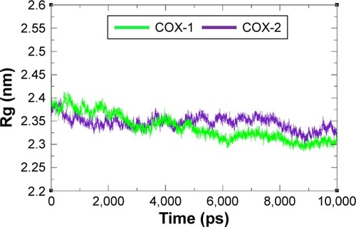 Figure 8 Rg graph of COX-1 and COX-2 at different time scales from 0 ps to 10,000 ps.