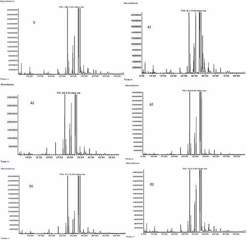 Figure 2. GC-MS chromatograms of methyl esters obtained by transesterification of isolates