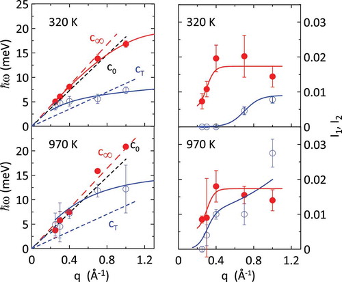 Figure 13. Dispersion relations of mode ”1” (red dots) and mode ”2” (blue circles) obtained by the two-interacting modes model applied to the neutron data measured in liquid Ga [Citation174] at T=320 K (upper left panel) and T=970 K (lower left panel). The full lines through the data are guides-to-the-eye. The ordinary sound velocity c0 and the velocities associated to the longitudinal and the transverse modes are also shown by dashed lines at the two temperatures. On the right-hand side of the figure, the energy-integrated intensities versus q for mode ”1” (red dots) and mode ”2” (blue circles) are plotted at the two temperatures. Full lines through the data are guides-to-the-eye