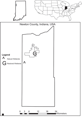 Figure 1. Map of study sites in northwestern Indiana. Polygon represents property boundary of Kankakee Sands Nature Preserve.