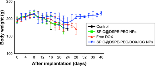 Figure S1 Body weights of glioma-bearing Wistar rats treated with saline, SPIO@DSPE-PEG NPs, free DOX, and SPIO@DSPE-PEG/DOX/ICG NPs. Data are shown as mean ± SD, n=6.Abbreviations: DOX, doxorubicin; DSPE-PEG, 1,2-distearoyl-sn-glycero-3-phosphoethanolamine-N-[methoxy(polyethylene glycol)]; ICG, indocyanine green; SPIO NPs, superparamagnetic iron oxide nanoparticles.