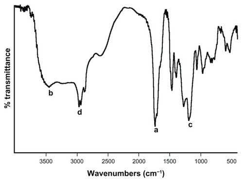 Figure 3 FTIR spectra of MAEHA copolymer.Note: FTIR spectra of MAEHA copolymer was recorded using potassium bromide pellets. Peak a: 1731 cm−1 (ester), 1701 cm−1 (acid); peak b: 3445 cm−1 (−OH); peak c: 1189 cm−1 and 1269 cm−1 (ester); peak d: 2961−2931 cm−1 (ester).Abbreviations: FTIR, Fourier transform infrared spectroscopy; MAEHA, methacrylic acid-co-2-ethyl hexyl acrylate.