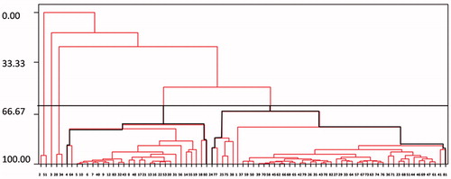 Figure 4. Dendrogram representation of the samples data (X-axis: 83 human seminal samples and Y-axis: % of similarity). The resulting clusters were obtained using an unweighted pair group clustering method which calculates Euclidean distance between samples and a standard deviation. Sixty percent of similarity was used as a cut-off value.
