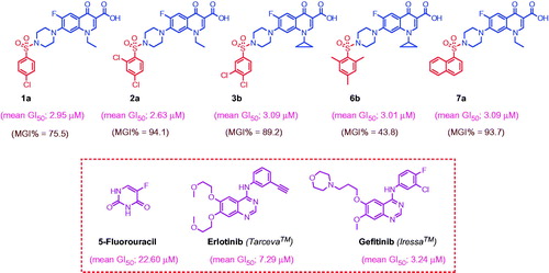 Figure 3. Outcomes of GI50 (µM) of compounds 1a, 2a, 3b, 6b, 7a and reference drugs 5-Flu, Erlotinib and Gefitinib using tumor cell lines from nine different.