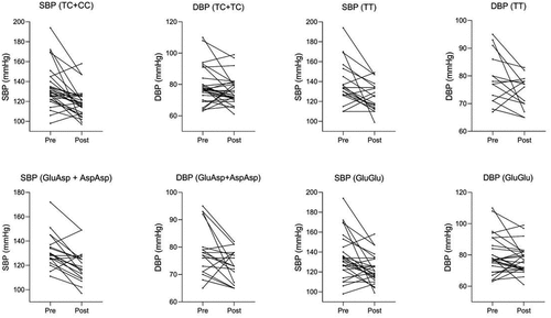 Figure 2. Individual changes in systolic and diastolic blood pressure values after 14 weeks of combined exercise training.