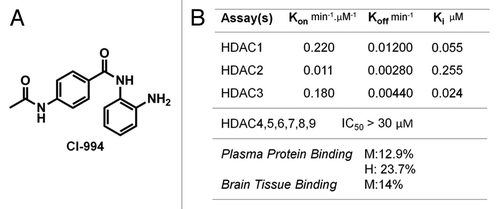 Figure 1. Structure and properties of HDAC inhibitor CI-994. (A) CI-994 is a benzamide inhibitor with MW 269 Da, CLogP of 0.74, and tPSA of 84. (B) CI-994 inhibits recombinant class I HDAC enzymes at nanomolar concentrations with excellent selectivity over other HDAC isoforms. Of note, CI-994 has low plasma protein and brain tissue binding at equilibrium against buffer. (M = mouse; H = human).