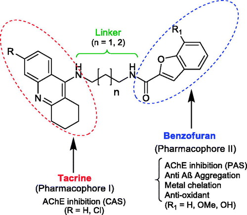 Figure 1. General structure of the tacrine-benzofuran (TAC-BF) hybrids under study.