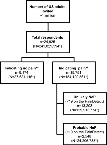 Figure 1 Study flowchart.