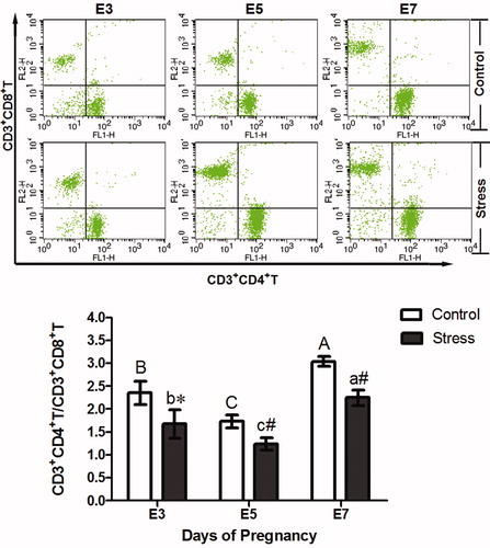 Figure 4. Effects of restraint stress on the T lymphocyte subsets in the uterus on E3, E5, and E7. The bar chart shows the CD3+CD4+ T/CD3+CD8+ T cell ratio between the stressed and control groups. Values were expressed as the mean ± SD. The meaning of the letters in the bar chart is the same as Figure 1. *p < 0.05 and #p < 0.01 were used to denote the significance compared with the corresponding control groups.