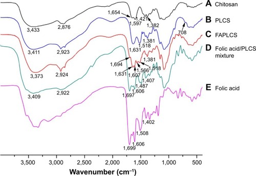 Figure 2 Fouriter transform infrared spectra of various agents.Notes: Fourier transform infrared spectra of chitosan (A); PLCS (B); FAPLCS (C); folic acid/PLCS mixtures (5% w/w) (D); and folic acid (E).Abbreviations: PLCS, N-palmitoyl chitosan; FAPLCS, folate-conjugated N-palmitoyl chitosan; w/w, weight/weight.