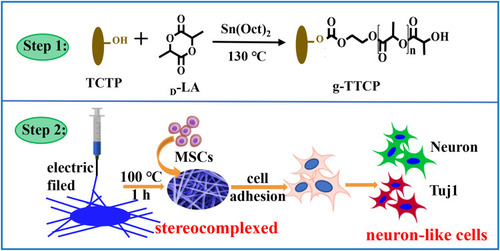 Schematic 1 The preparation process of stereocomplexed composite nanofibers.