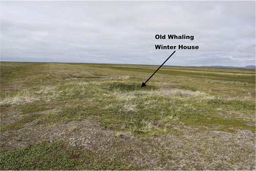 Fig. 3  Looking north towards a house pit in Giddings’ winter settlement. (Photo by Christopher Wolff.)