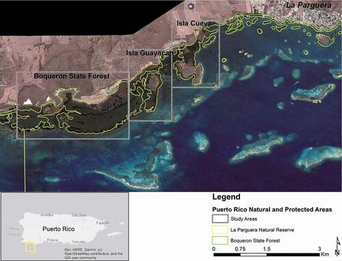 Figure 1. Map showing the study areas for La Parguera. The boundaries of La Parguera Natural Reserve and the Boquerón State Forest are displayed