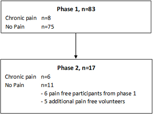 Figure 1 Study flow chart.