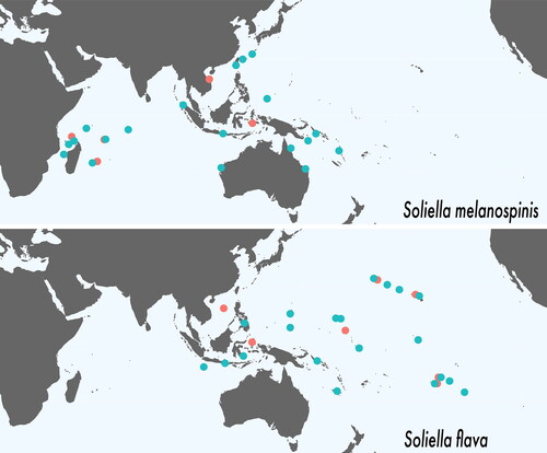 Fig. 2. Geographic distributions of Soliella flava and S. melanospinis. Turquoise dots represent material examined. Pink dots represent additional localities recorded in literature.