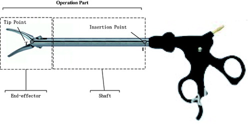 Figure 1. The operation part of MIS instrument: end-effector with the tip point and shaft with the insertion point.