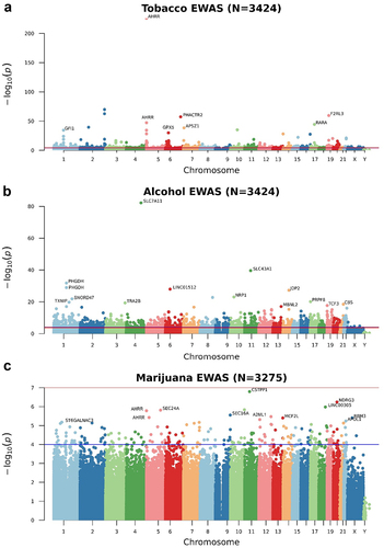 Figure 1. Manhattan plots of the epigenome-wide association study (EWAS) of tobacco (a), alcohol (b), and marijuana (c) consumption. The Y-axis represents the -log10(p) values and the X-axis the position of the CpG sites within the chromosome. The blue line is the suggestive nominal p-value threshold (0.0001) and the red line is the p-value adjusted threshold lower than 0.05.