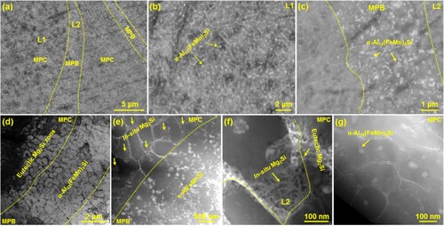 Figure 4. SEM/TEM images showing the as-LPBFed Al–5Mg2Si–2Mg–2Fe alloy with ageing at 180°C for 3.5 h; (a,d,e) the overall microstructure; the detailed microstructure in zone L1 (b) and zone L2 (c); (f) the formation of in-situ Mg2Si particles with eutectic network; (g) the formation of low number density of α-Al12(Fe,Mn)3Si particle at the MPC zone.