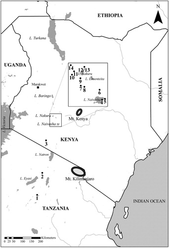 Figure 1. Map of East Africa showing the Pastoral Neolithic sites mentioned in the text: 1 Luxmanda; 2 Ngorongoro Crater; 3 Narosura; 4 Crescent Island; 5 Naivasha Rock Shelter; 6 Ilkek-Mound C; 7 Eburu Station Lava Tube Cave; 8 Prospect Farm; 9 Prolonged Drift; 10 Njoro River Cave; 11 Egerton Cave; 12/13 Hyrax Hill and the Nakuru Burial Site; 14 Keringet Cave; 15 Ngamuriak.