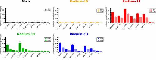 Figure 4. KRAS Radium TCRs recognize endogenously processed full length KRAS proteins. Intracellular IFNγ and TNFα production in Radium-10, −11, −12, −13 TCR transduced CD4+ and CD8+ effector T cells co-cultured with EBV-LCL cells loaded or not with 5 µM of KRAS proteins or 5 µM of peptides. Data represent mean ± SD of triplicates