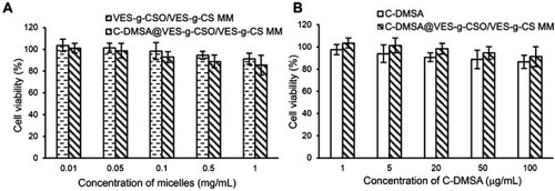 Figure S3 Cell viability of L929 cells treated with the blank mixed micelles (VES-g-CSO/VES-g-CS MM) or C-DMSA@VES-g-CSO/VES-g-CS MM (A). Cell viability of L929 cells treated with C-DMSA or C-DMSA@VES-g-CSO/VES-g-CS MM (B).Note: Data were presented as mean±SD (n=3).Abbreviations: C-DMSA, 3-formyl-7-diethylamino coumarin masked meso-dimercaptosuccinic acid; VES-g-CSO/VES-g-CS MM, vitamin E succinate-grafted-chitosan oligosaccharide/vitamin E succinate-grafted-chitosan mixed micelles; C-DMSA@VES-g-CSO/VES-g-CS MM, C-DMSA loaded vitamin E succinate-grafted-chitosan oligosaccharide/vitamin E succinate-grafted-chitosan mixed micelles.