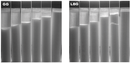 Figure 4 Amount of syneresis measured during storage (mm). SYD samples at different concentrations (from L to R: control, 0.02, 0.06, 0.10, 0.14, 0.20 g/100 g) of GG and LBG additions. Samples were stored in centrifuge tubes (V =14 mL and r =15 mm) at 4°C for a seven-day period.